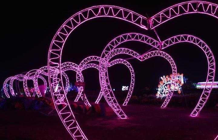 仙居县梦幻灯光节璀璨开幕（图）