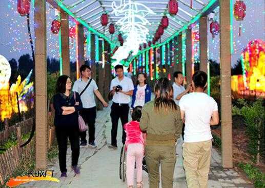 自贡灯会点亮中国金银花节（图）